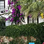 Sunny Garden Nilufer Bodrum