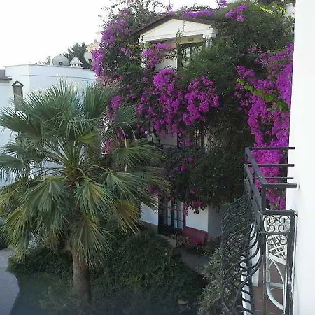 Sunny Garden Nilufer Hotel