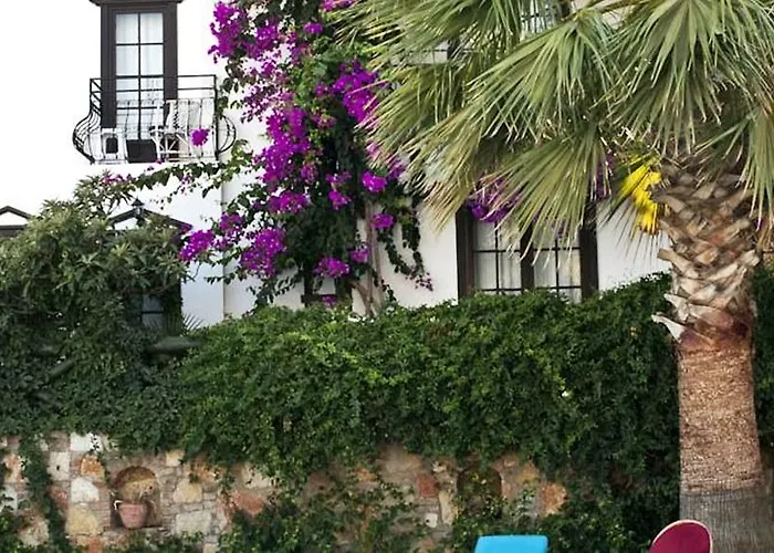 Sunny Garden Nilufer Bodrum