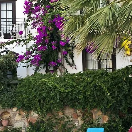 Sunny Garden Nilufer بودروم