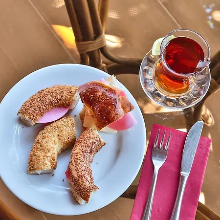 Sunny Garden Nilufer ボドルム