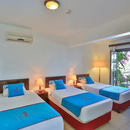 Sunny Garden Nilufer