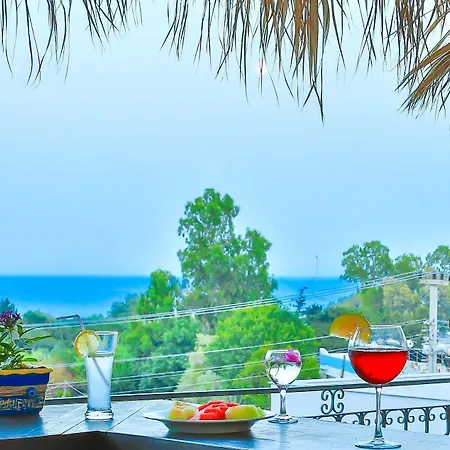 Sunny Garden Nilufer ホテル