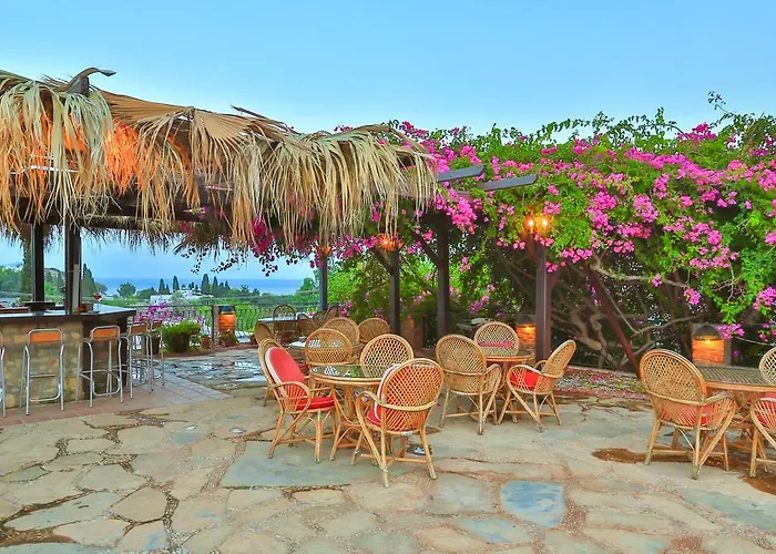 Sunny Garden Nilufer 博德鲁姆